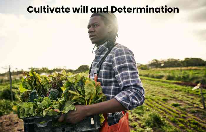 Cultivate will and Determination