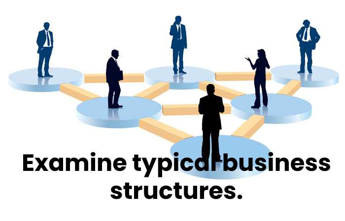 Examine typical business structures.