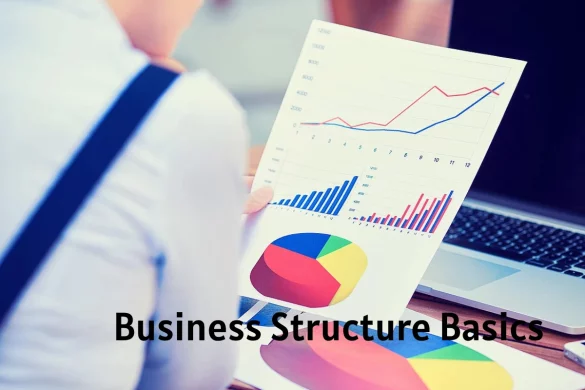 Business Structure Basics