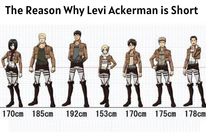 The Reason Why Levi Ackerman is Short